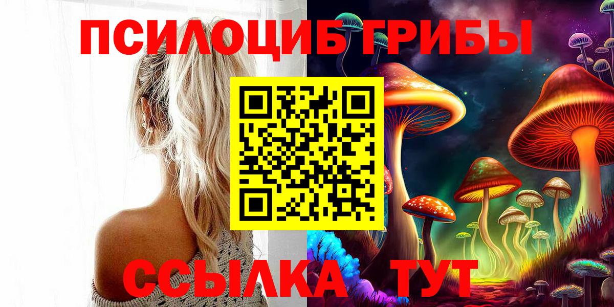 Псилоцибиновые грибы Psilocybine cubensis Дедовск