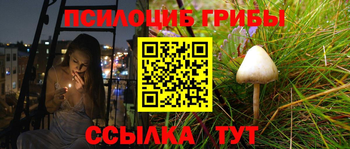 Дедовск  даркнет сайт  Вход с VPN  Псилоцибиновые грибы Psilocybine cubensis 